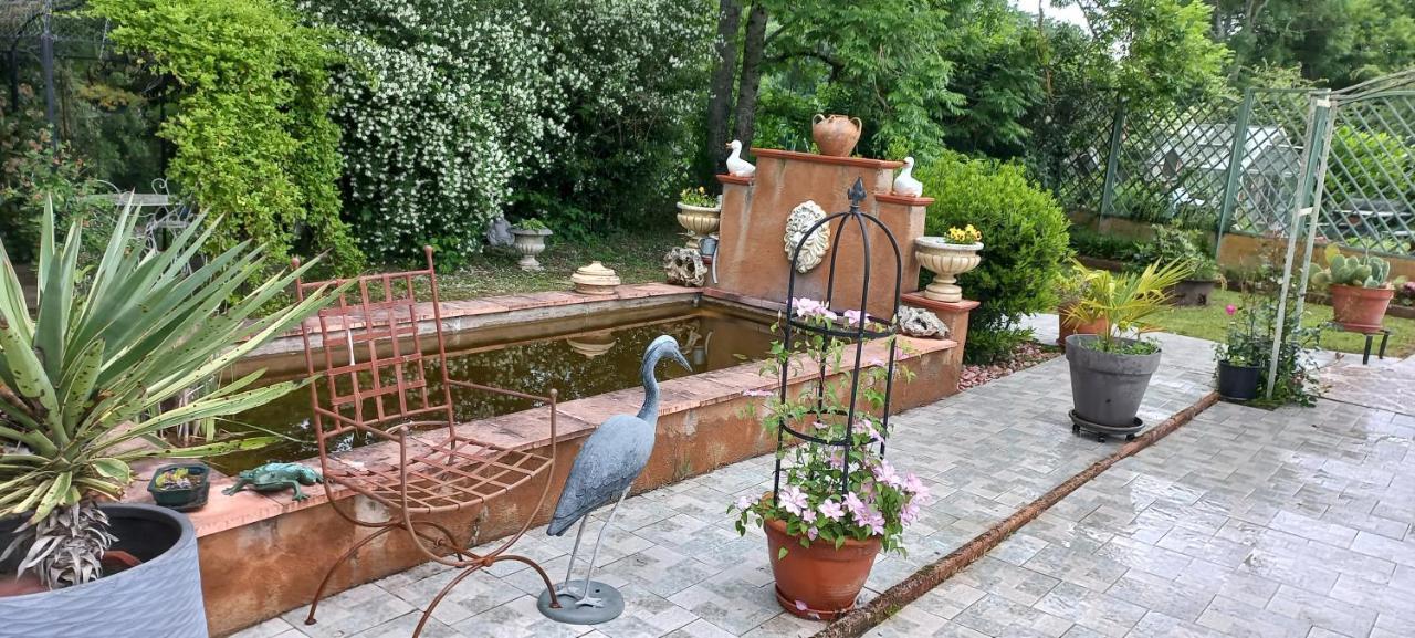Albi A Proximite, Maison D'Hotes Les Oliviers Rosieres  Buitenkant foto